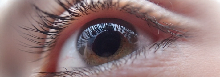 Eye Doctor Brainerd Rd Chattanooga TN Eye A close up of a brown eye.